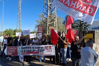 20251006EDPprestadores Seia